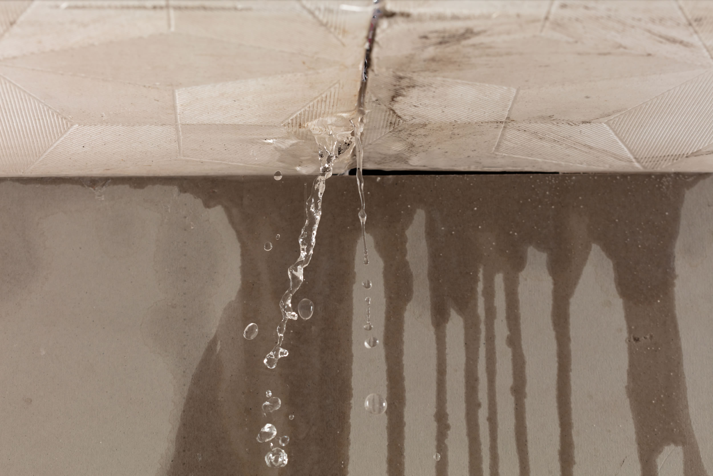 Water Leak